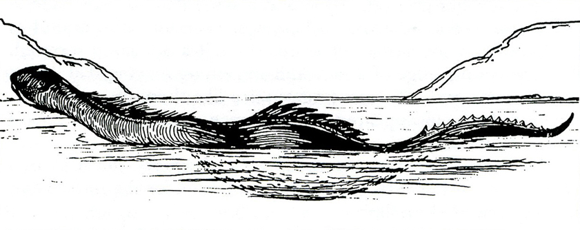 Kemp Sketch 1933